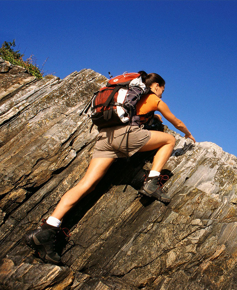 ky体育网页入口登录文化